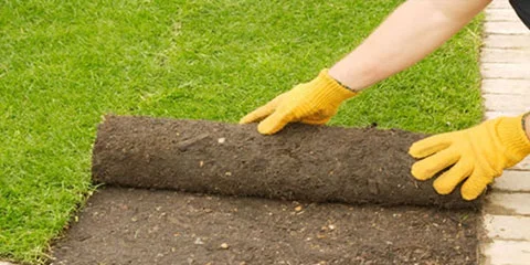 Person legger ferdigplen på jord ved steinlagt kant.