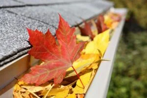 Røde og gule løv fyller takrenne ved grå takstein.